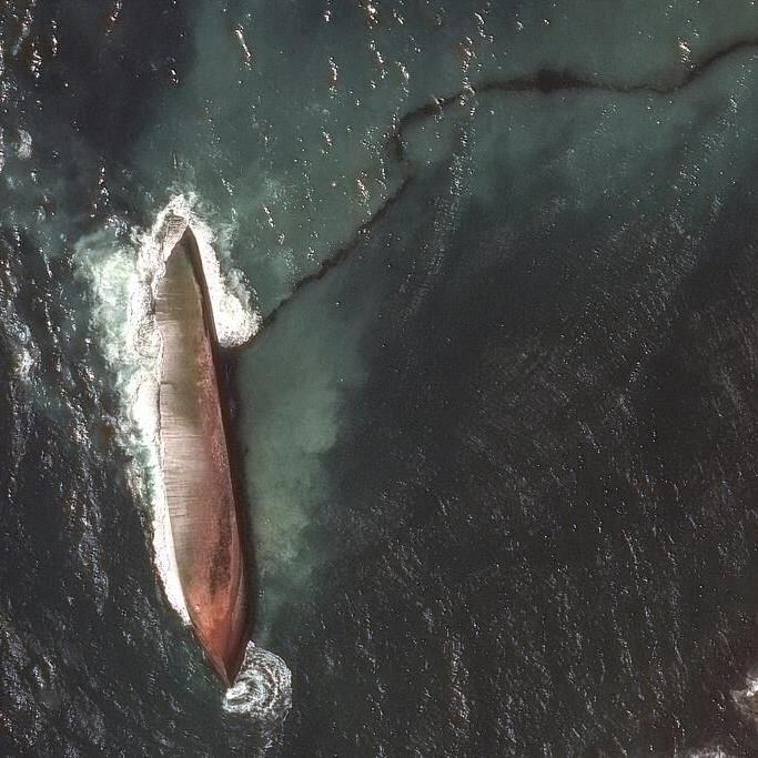 Oil spill from capsized barge near Tobago soils beaches hundreds of miles away